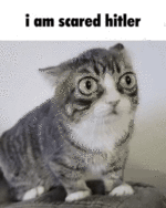 scared-hitler.gif