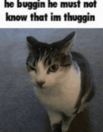 1791657949369.png