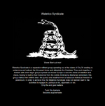 Waterloo Syndicate synopsis.png