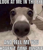 1645084550082.png