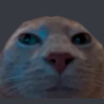 1646005255801.png 1646005255801.png