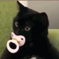 ghostkripp
