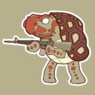 turtle with an m16