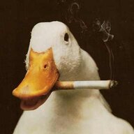 Ducklord