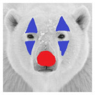 Polar