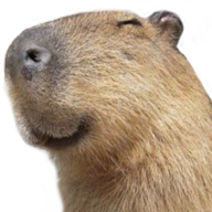 Foxu1