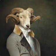 MrTheGoat