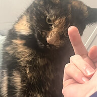 mossycrumb