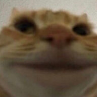 Fani Kat