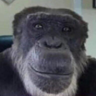 Garrett McChimpus