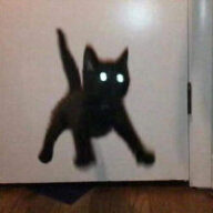 smolcat