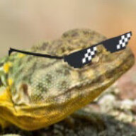 LizardWizardOfTheWest