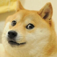 dogeyogi