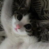 samsam!