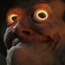 robby