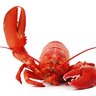 zeroday:)