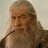Gandalf The Grey
