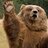Samuel The Bear