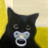Hestia_9393