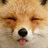 FluffiestFloofers