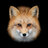 FoxInTheBox