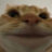 Fani Kat